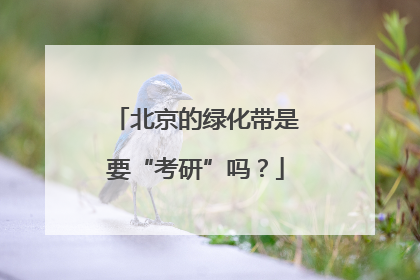 北京的绿化带是要“考研”吗？