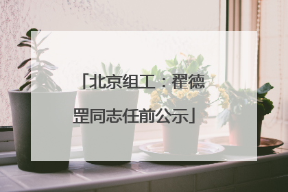 北京组工：翟德罡同志任前公示