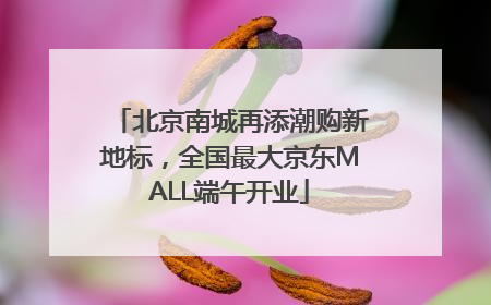 北京南城再添潮购新地标，全国最大京东MALL端午开业