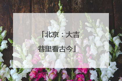北京：大吉巷里看古今