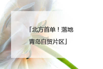 北方首单！落地青岛自贸片区