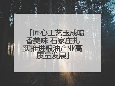 匠心工艺玉成喷香美味 石家庄扎实推进粮油产业高质量发展