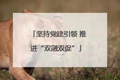 坚持党建引领 推进“双融双促”