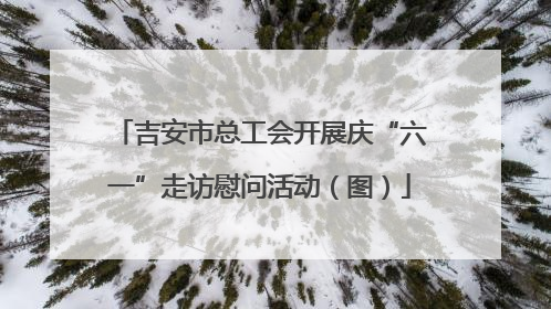 吉安市总工会开展庆“六一”走访慰问活动（图）