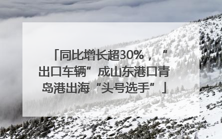 同比增长超30%，“出口车辆”成山东港口青岛港出海“头号选手”