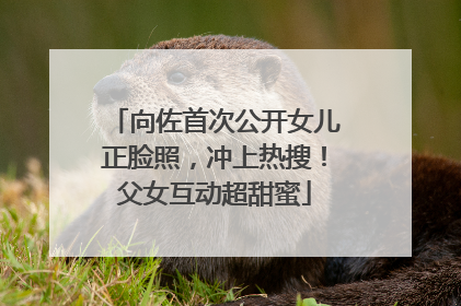 向佐首次公开女儿正脸照，冲上热搜！父女互动超甜蜜