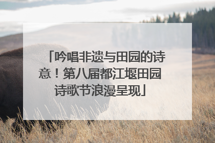 吟唱非遗与田园的诗意！第八届都江堰田园诗歌节浪漫呈现