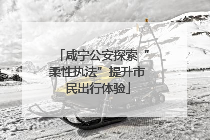 咸宁公安探索“柔性执法”提升市民出行体验