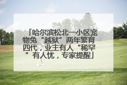 哈尔滨松北一小区宠物兔“越狱”两年繁育四代，业主有人“稀罕”有人忧，专家提醒