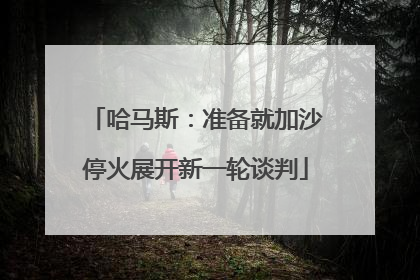 哈马斯：准备就加沙停火展开新一轮谈判
