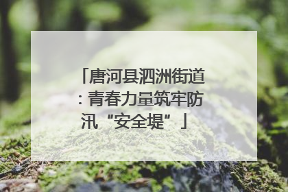 唐河县泗洲街道：青春力量筑牢防汛“安全堤”