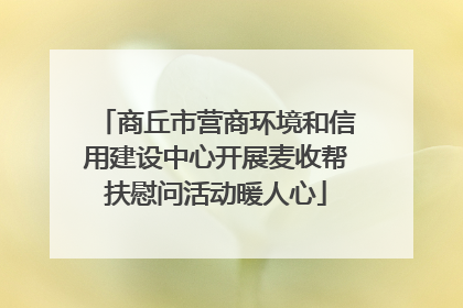 商丘市营商环境和信用建设中心开展麦收帮扶慰问活动暖人心