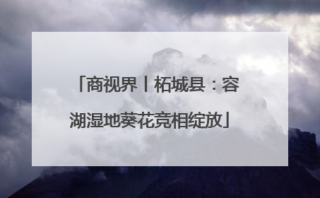 商视界丨柘城县：容湖湿地葵花竞相绽放