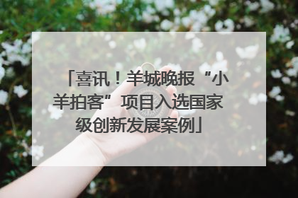 喜讯！羊城晚报“小羊拍客”项目入选国家级创新发展案例