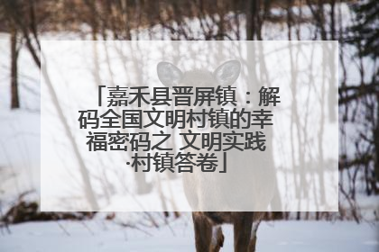 嘉禾县晋屏镇：解码全国文明村镇的幸福密码之 文明实践·村镇答卷