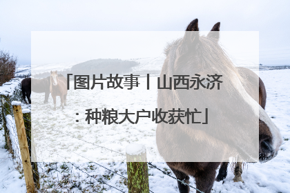 图片故事丨山西永济：种粮大户收获忙