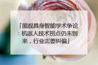 围观具身智能学术争论：机器人技术拐点仍未到来，行业需要纠偏