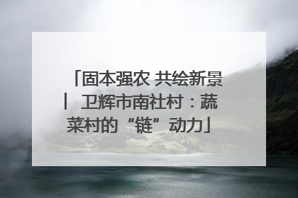 固本强农 共绘新景 ︳卫辉市南社村：蔬菜村的“链”动力