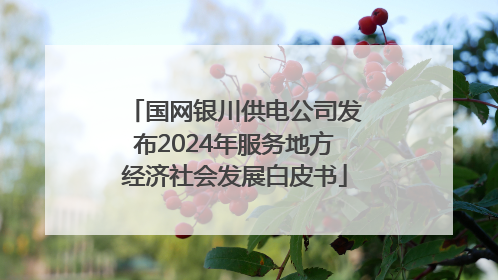 国网银川供电公司发布2024年服务地方经济社会发展白皮书