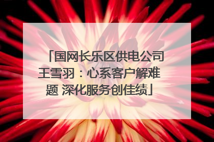 国网长乐区供电公司王雪羽：心系客户解难题 深化服务创佳绩