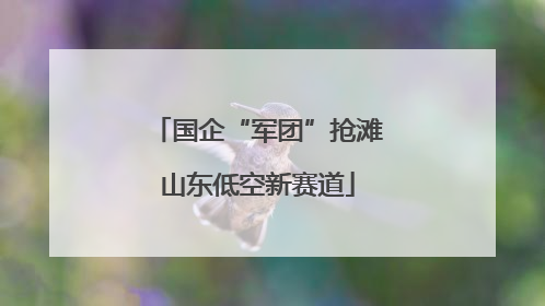 国企“军团”抢滩山东低空新赛道