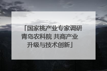 国家桃产业专家调研青岛农科院 共商产业升级与技术创新