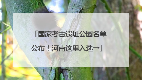 国家考古遗址公园名单公布！河南这里入选→