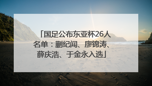 国足公布东亚杯26人名单：蒯纪闻、廖锦涛、薛庆浩、于金永入选