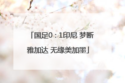 国足0∶1印尼 梦断雅加达 无缘美加墨