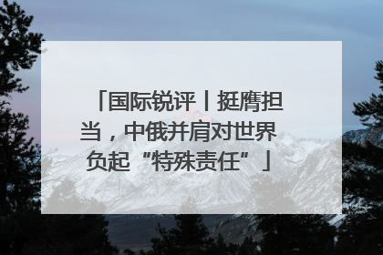 国际锐评丨挺膺担当，中俄并肩对世界负起“特殊责任”