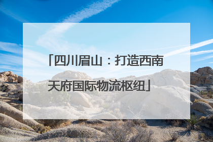 四川眉山：打造西南天府国际物流枢纽