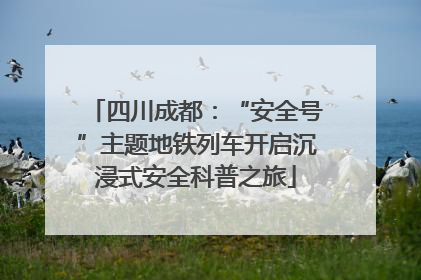 四川成都：“安全号”主题地铁列车开启沉浸式安全科普之旅