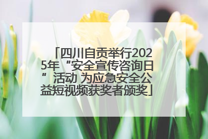 四川自贡举行2025年“安全宣传咨询日”活动 为应急安全公益短视频获奖者颁奖