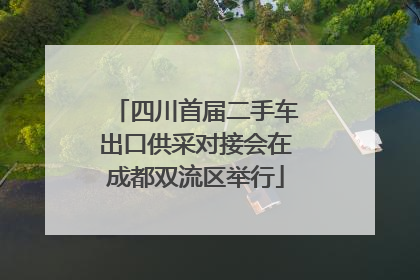 四川首届二手车出口供采对接会在成都双流区举行
