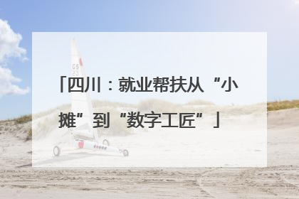 四川：就业帮扶从“小摊”到“数字工匠”