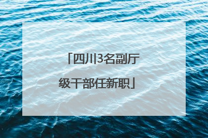 四川3名副厅级干部任新职