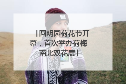 圆明园荷花节开幕，首次举办荷梅南北双花展