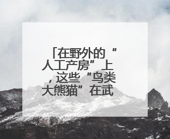 在野外的“人工产房”上，这些“鸟类大熊猫”在武汉生宝宝了