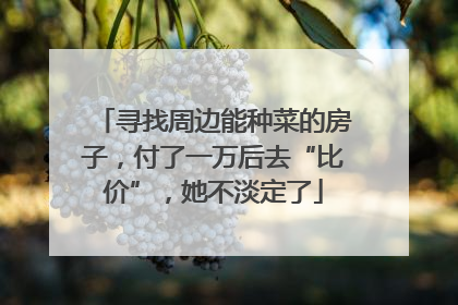 寻找周边能种菜的房子，付了一万后去“比价”，她不淡定了