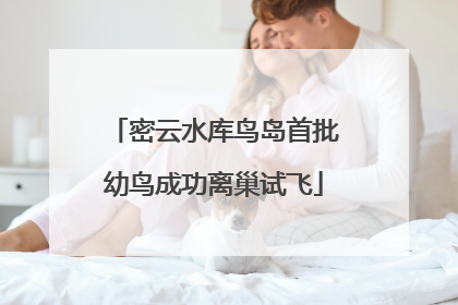 密云水库鸟岛首批幼鸟成功离巢试飞