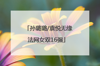 孙璐璐/袁悦无缘法网女双16强