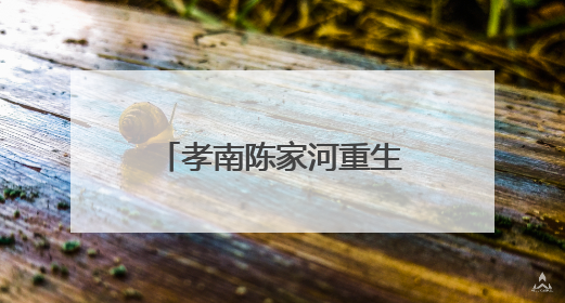 孝南陈家河重生记：一条“幸福河”的生态蝶变