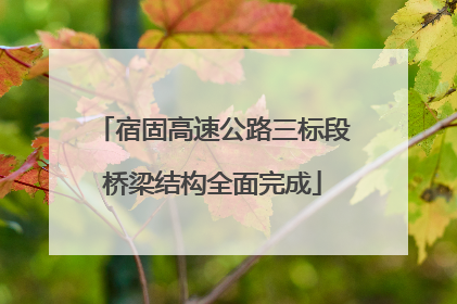 宿固高速公路三标段桥梁结构全面完成