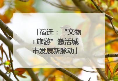 宿迁：“文物+旅游”激活城市发展新脉动