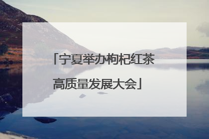 宁夏举办枸杞红茶高质量发展大会