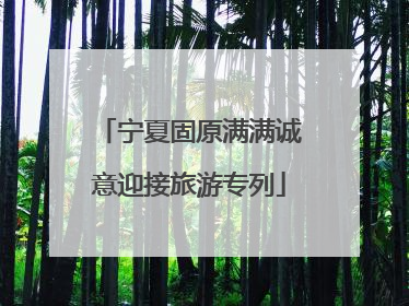 宁夏固原满满诚意迎接旅游专列