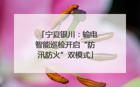 宁夏银川：输电智能巡检开启“防汛防火”双模式