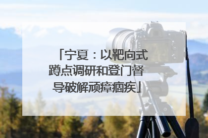 宁夏：以靶向式蹲点调研和登门督导破解顽瘴痼疾