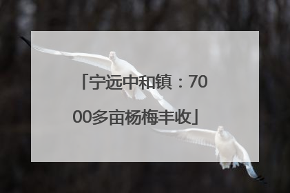 宁远中和镇：7000多亩杨梅丰收