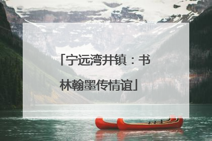 宁远湾井镇：书林翰墨传情谊
